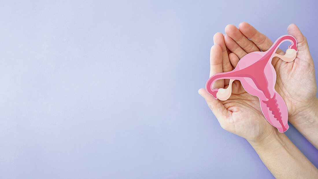 Grafik mit schematischer Darstellung Darstellung der inneren weiblichen Geschlechtsorgane