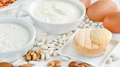 Verschiedene proteinreiche Lebensmittel wie Eier, Joghurt, Hüttenkäse, Käse, Linsen, Bohnen, Nüsse und Mandeln auf weißem Hintergrund.