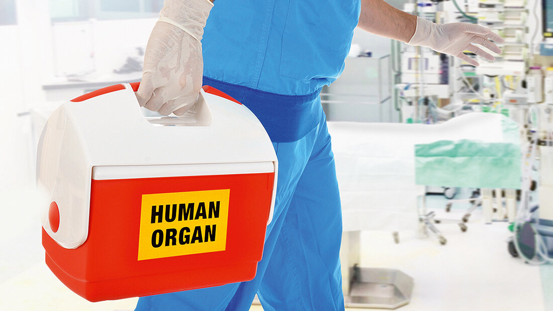 Foto einer Organtransportbox