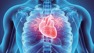 Das pathologische EKG