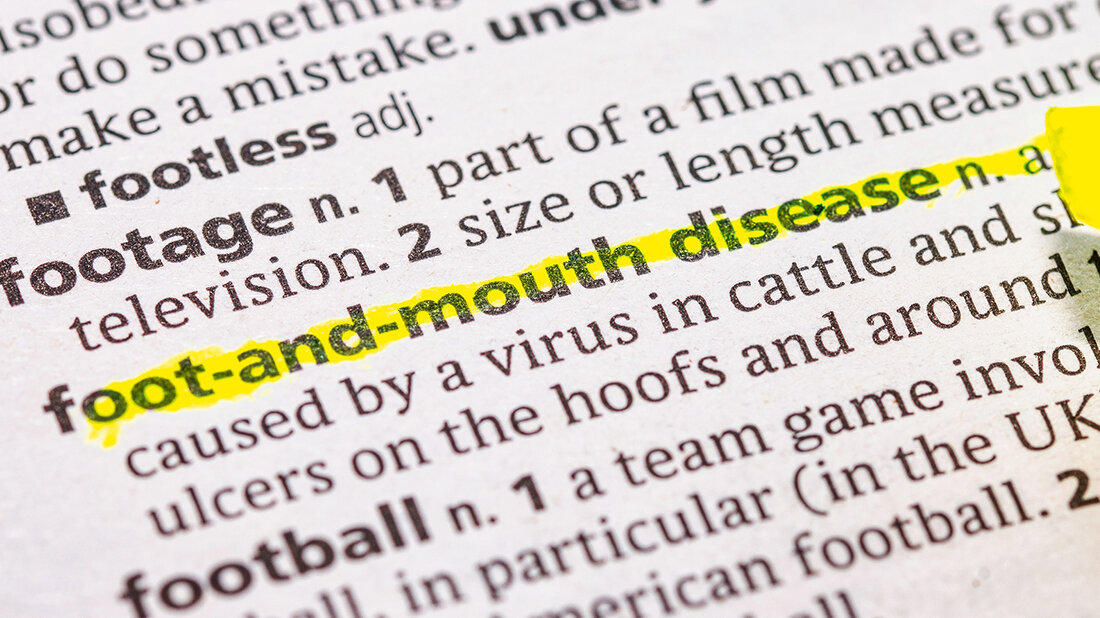 Foto aus einem Wörterbuch: Stichwort foot-and-mouth disease ist mit Textmarker gelb markiert.