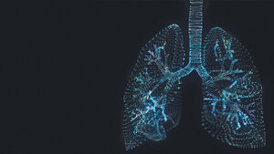 3D-gerenderte Illustration eines Lungenplexus