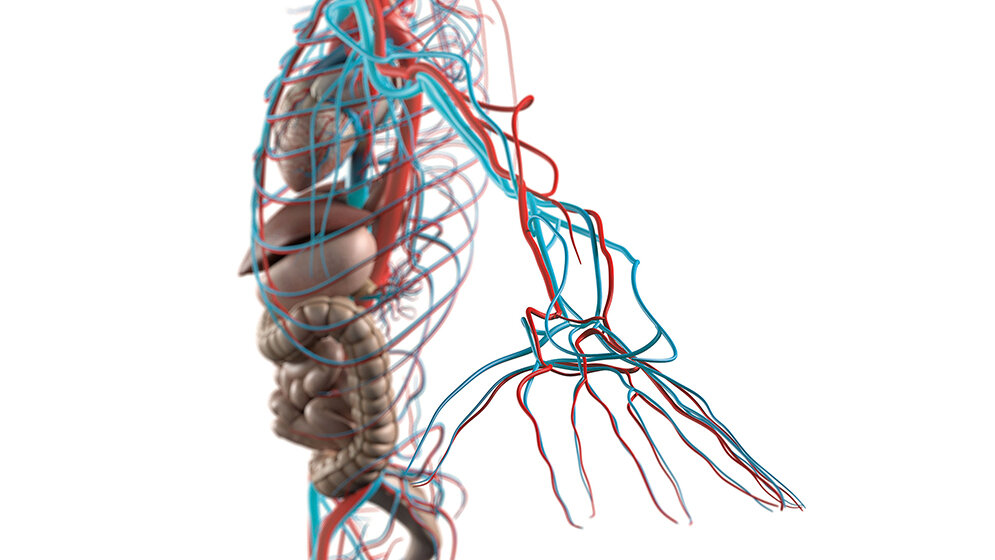 Bildgebende Verfahren CT Angiografie – Armarterien