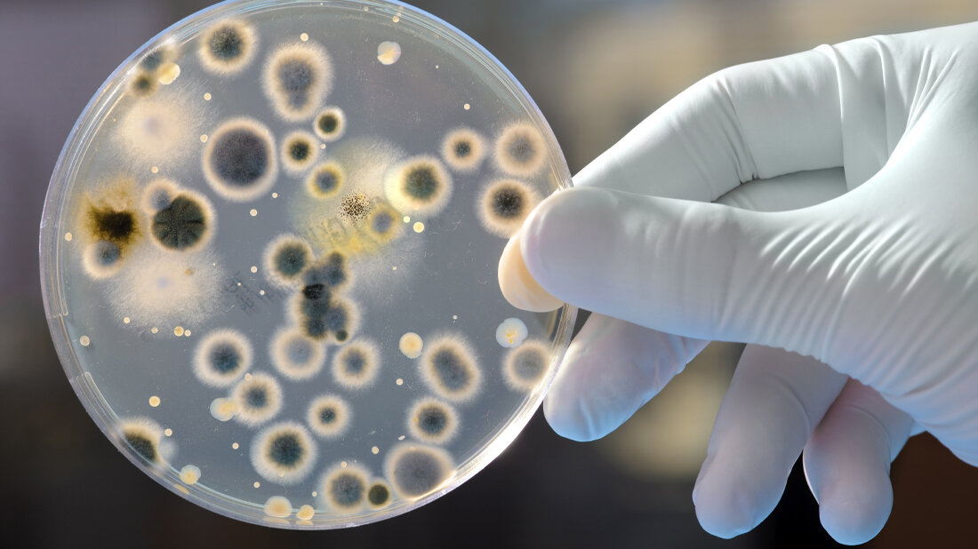 Titelbild zum Beitrag über Weiterbildung