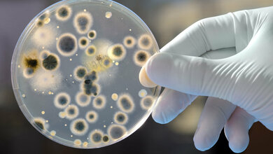 Titelbild zum Beitrag über Weiterbildung