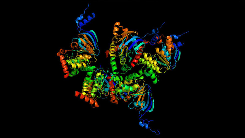 Bändermodell des CFTR-Proteins