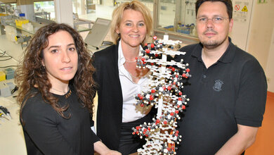 Dr. Michelle Seif, Prof. Dr. Alexandra K. Kiemer, Dr. Frank Breinig