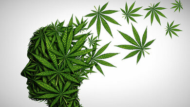 Mehr junge Männer als Frauen erkranken an Schizophrenie nach Cannabiskomsum