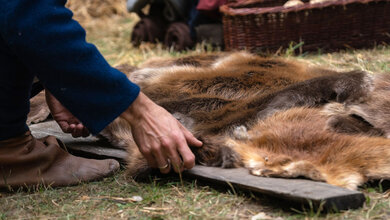 Handel mit Fell von Wildtieren.