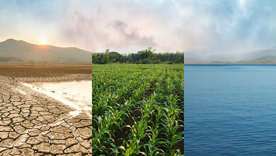 Fotocollage zu Aspekten des Klimawandels: Dürre, Monokulturen/Vernichtung von Regenwald, Meereserwärmung