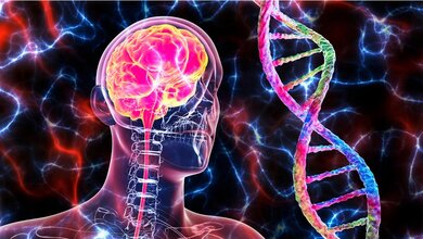 Brain_disorder.jpg Neurodegeneration