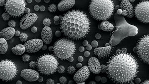 Allergologie (Teil 7)