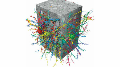 Rekonstruktion von Nervenzellen 