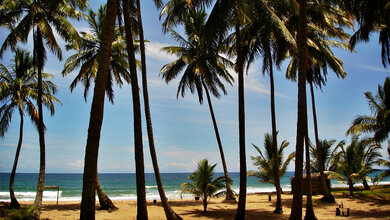 Aus der Praxis für die Praxis