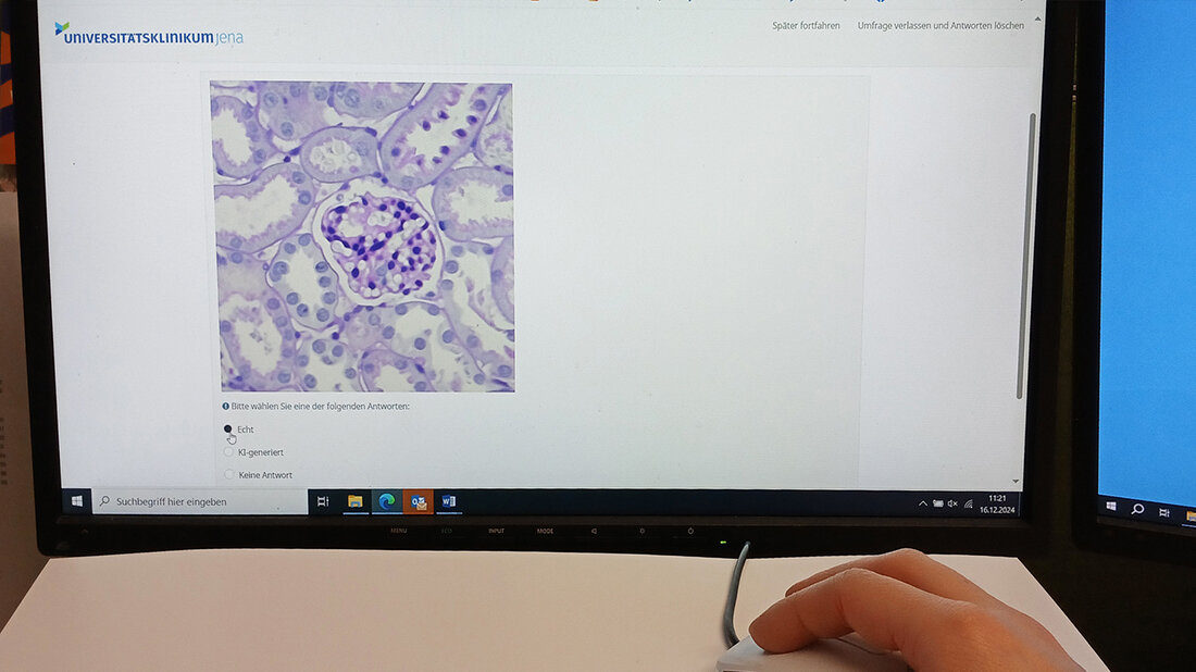 Histologiebild.jpg Gewebeschnittbild