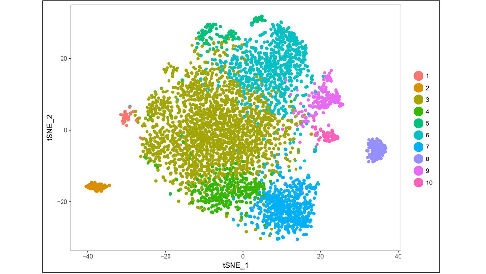 Tumorzelle ist nicht gleich Tumorzelle.