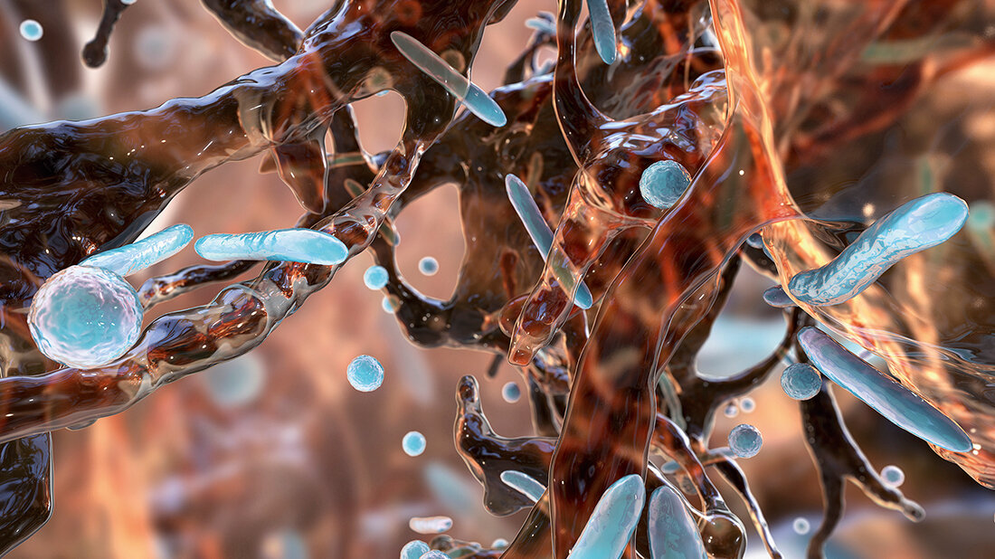 3D-Illustration mit Darstellung antibiotikaresistenter Bakterien in einem Biofilm