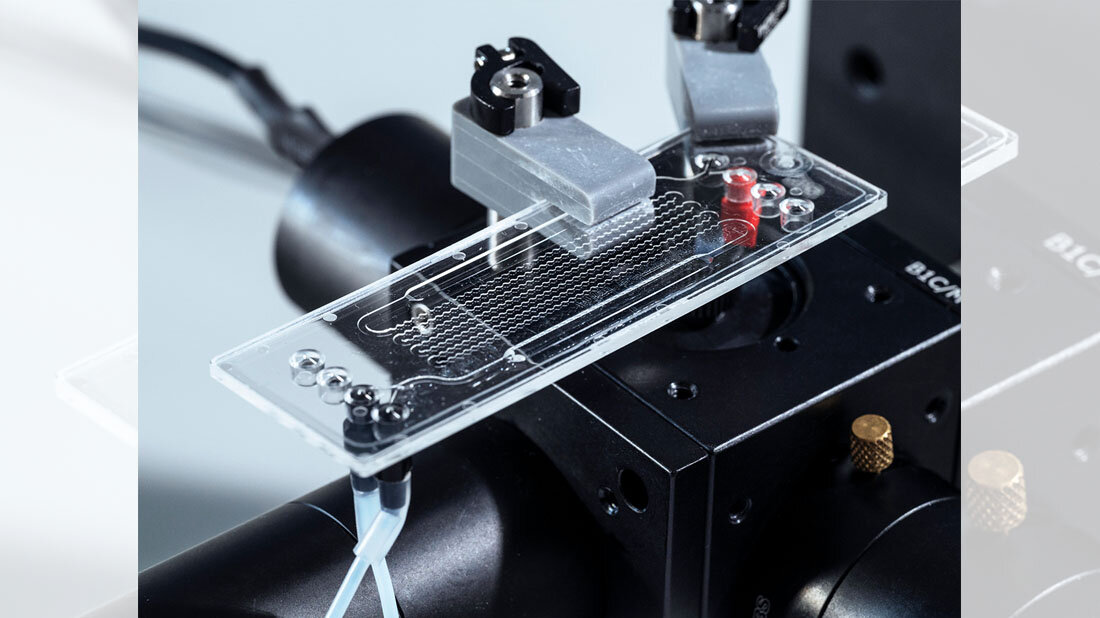 Der mikrofluidische Chip des Sensorsystems für die PFAS-Analyse in Nahaufnahme.