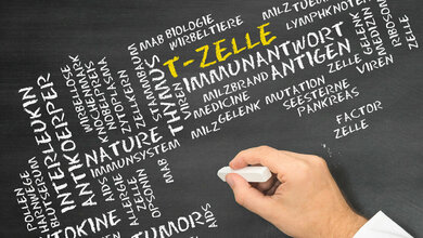 Rolle der T-Zellen bei COVID-19
