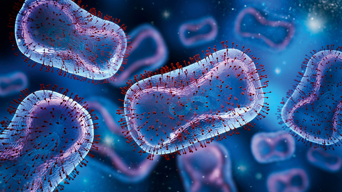 Titelbild des Fachbeitrags über den Nachweis von Affenpocken