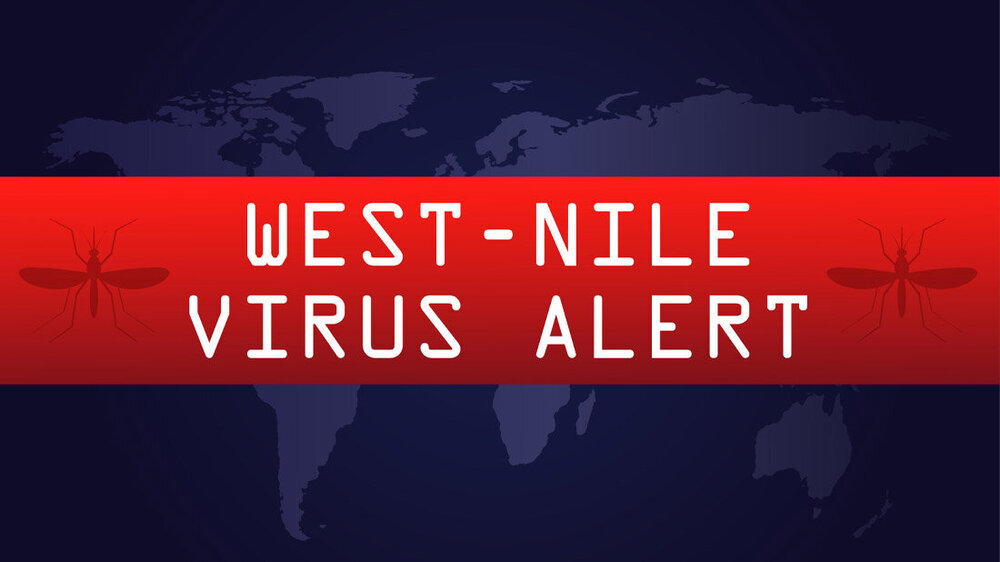 Warnung vor dem West-Nil-Virus