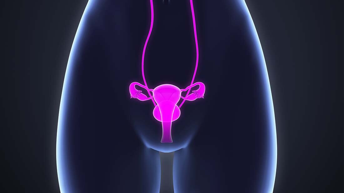 S2k-Leitlinie zur Harninkontinenz von Frauen