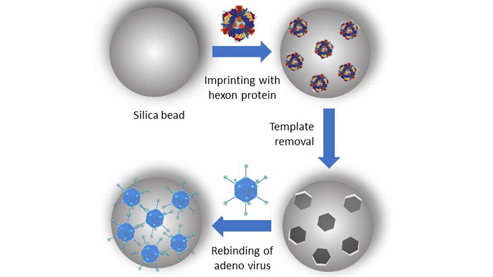 molekulare Prägung eines Polymers 