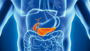 Galle und Gallensäuren (Teil 2)