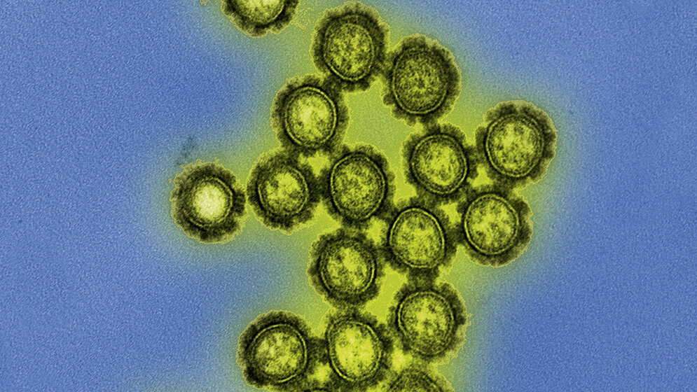 Winterzeit = Grippezeit