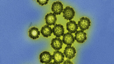 Winterzeit = Grippezeit