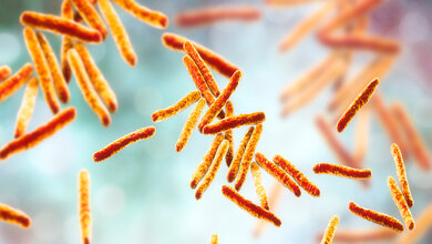 Symbolbild für Mycobacterium-tuberculosis-Stämme.