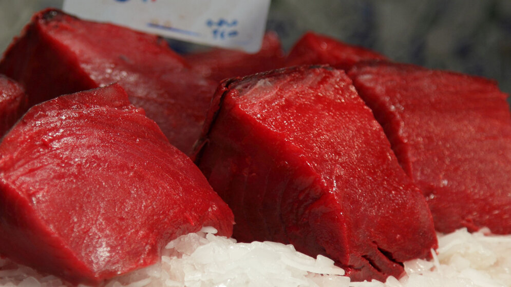 Thunfisch_flydime_CC_BY_SA_2_0_wikimedia.jpg Thunfisch