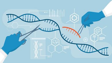 CRISPR_AdobeStock_305377700_edited.jpg Symbolbild zur CRISPR-Genschere