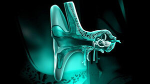 Audiologie