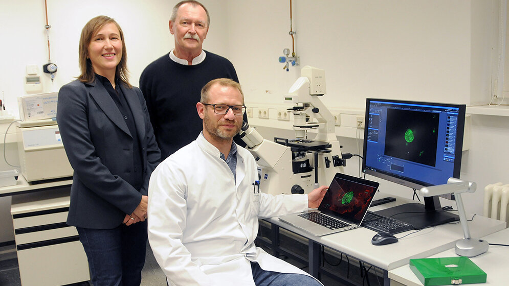 Ildiko Rita Dunay, Karl-Heinz Smalla, Daniel Lang