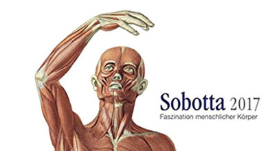 Sobotta