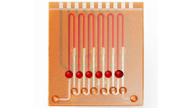 Multiplex-Chip 