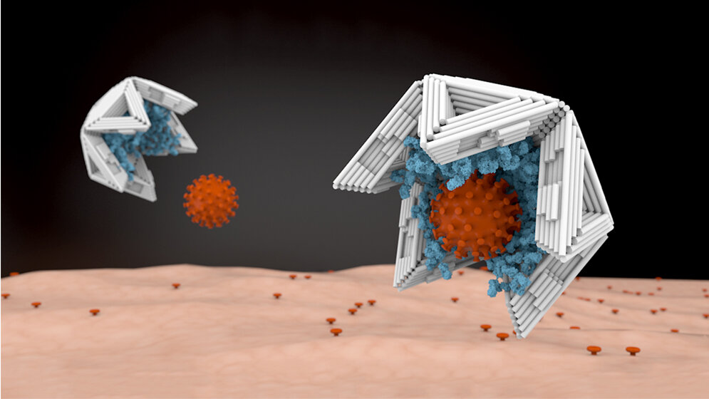 Virus_bindende_Molekuele_Elena_Marie_Willner_DietzLab_TUM.jpg Nano-Halbschalen aus DNA-Material