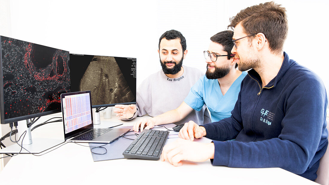 Frei Forschende vor zwei Computerbildschirmen und einem Laptop, auf denen mikroskopische und Ultraschallbilder zu sehen sind.