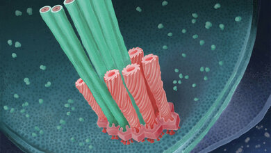 Ein Bündel Dolch-Ausstossapparate