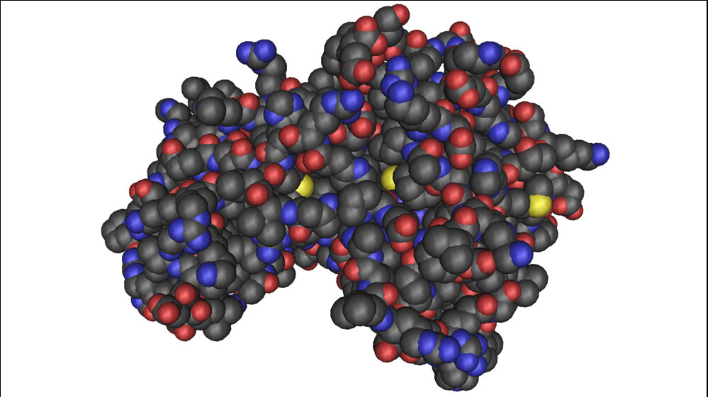 Molekülmodell der AMP-aktivierten Proteinkinase.