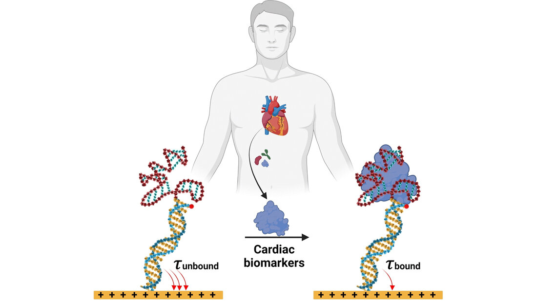Biomarker.jpg Alternative zum Antikörpernachweis