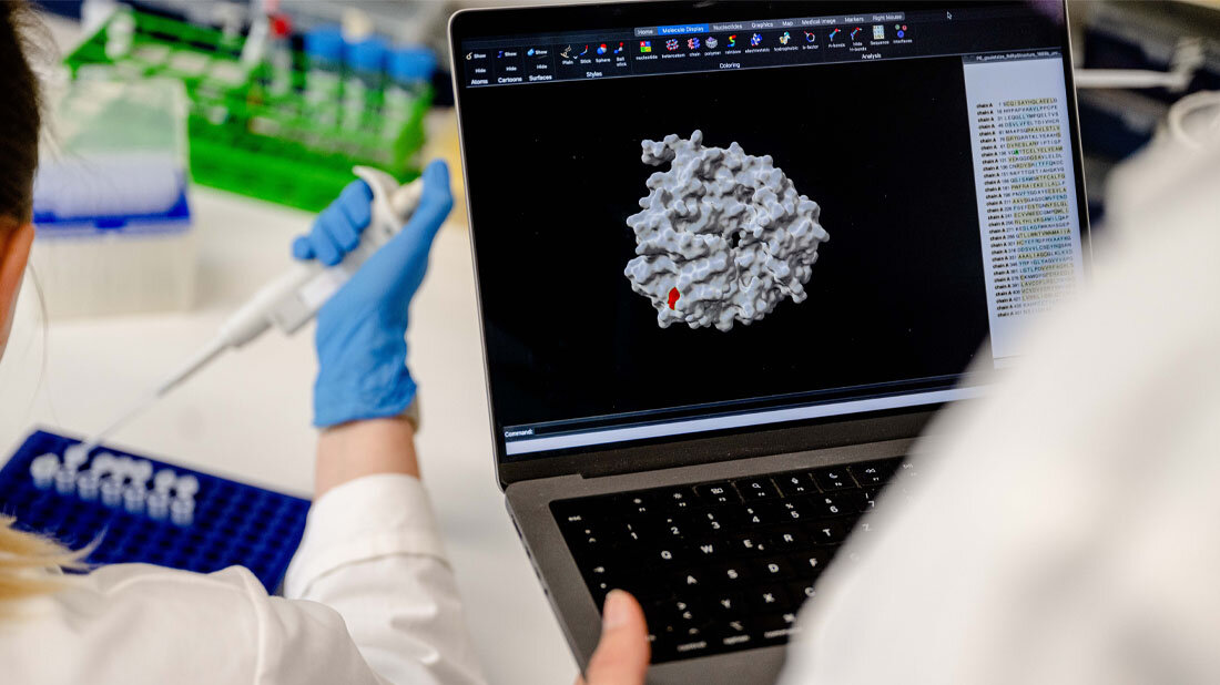 Mutation des Hepatitis-E-Virus 