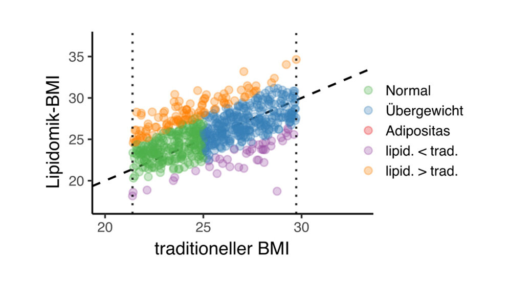 Alternative zu traditionell gemessenen BMI-Werten 