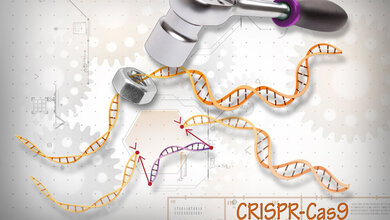 CRISPR-Cas9