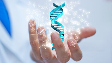 DNA-Origami gegen Krebszellen