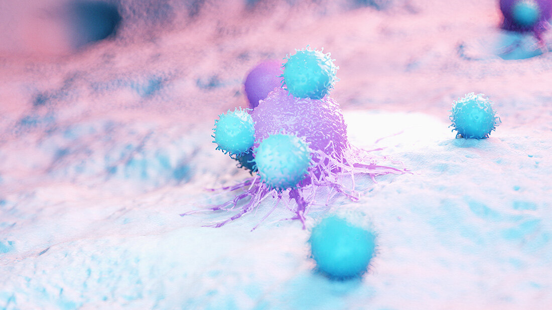 T-Zelle_Krebs.jpg Illustration von Immunzellen, die eine Krebszelle angreifen, dargestellt in blauen und violetten Farbtönen auf mikroskopischer Ebene.