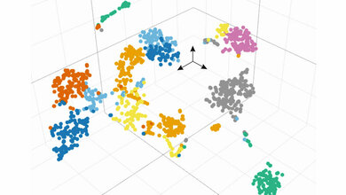 Darstellung des Fingerabdrucks der Genexpression