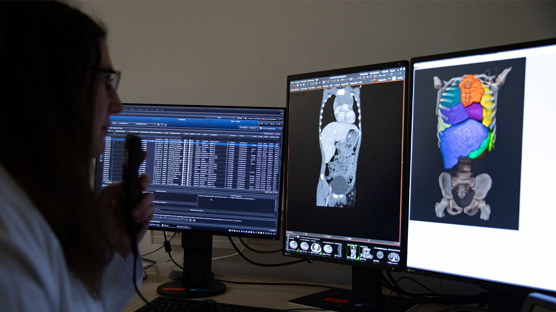 Professor Dr. Diane Renz am Bildschirm