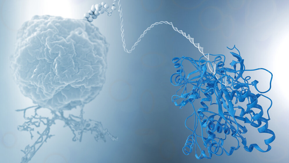 Methanocaldococcus jannaschii